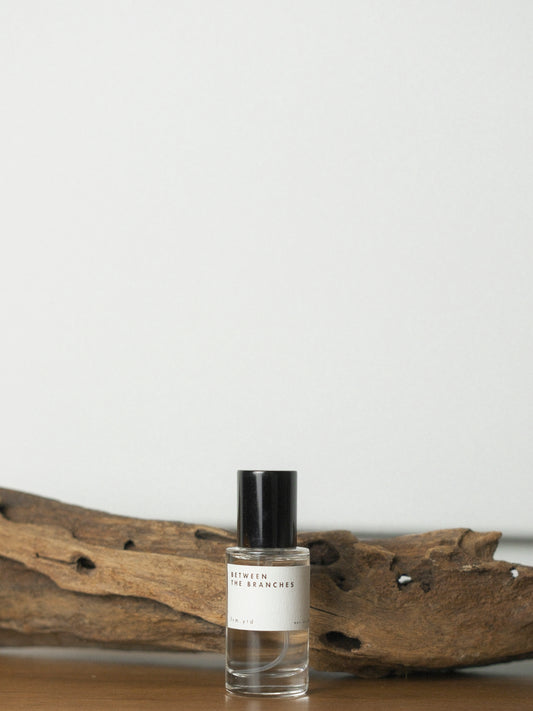 Between the Branches