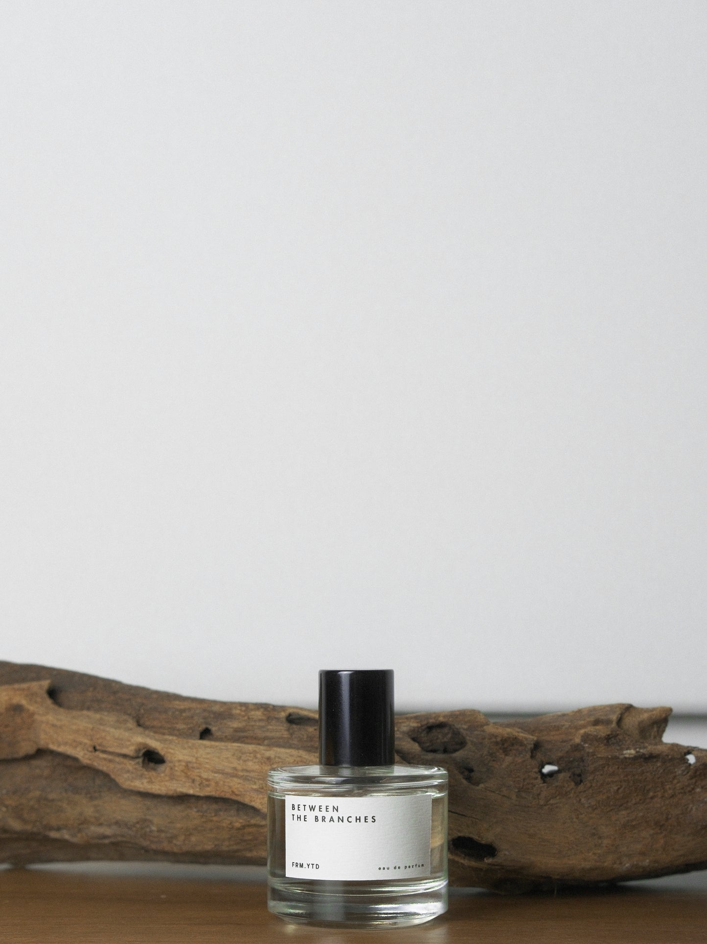 Between the Branches