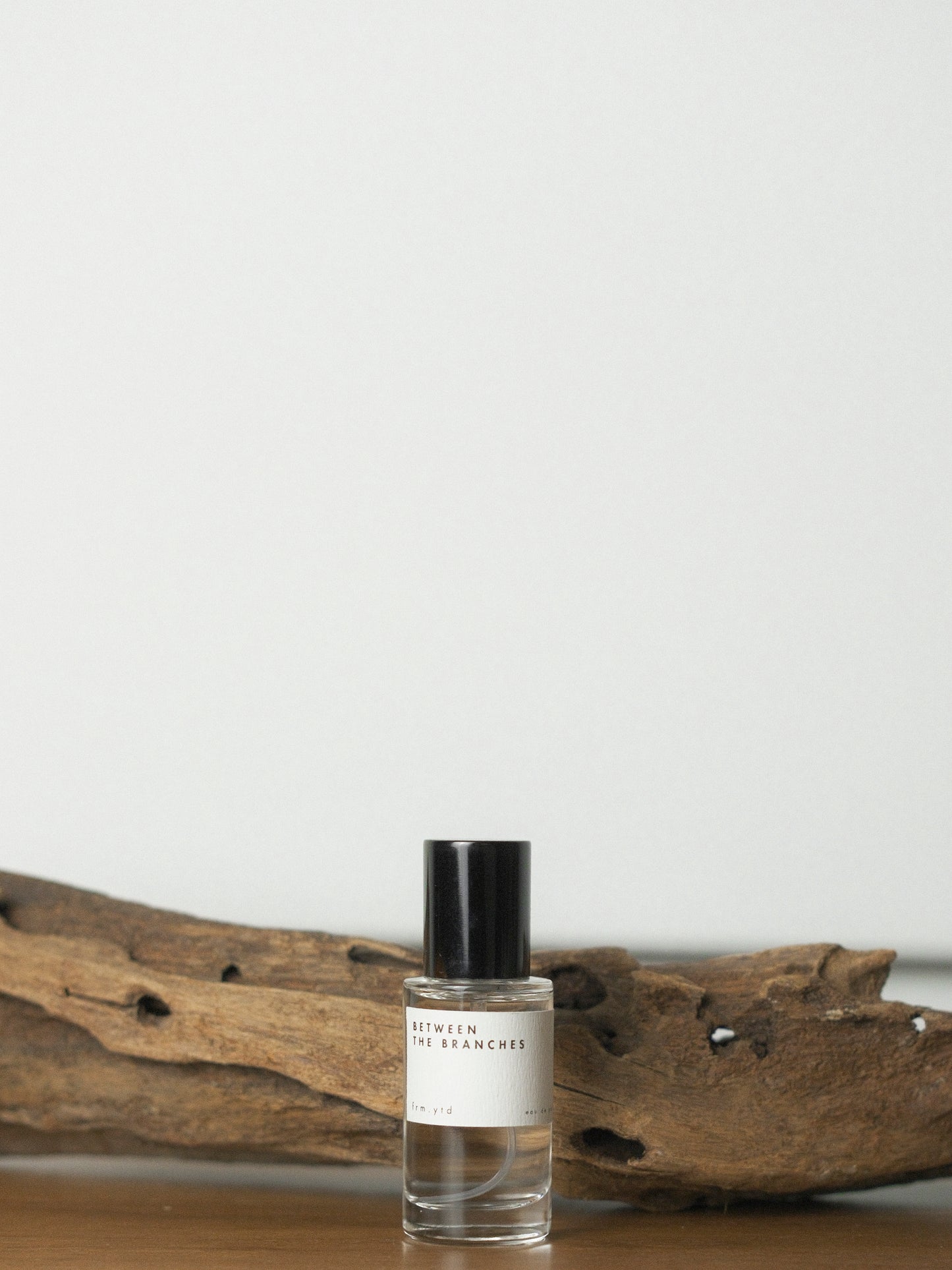 Between the Branches